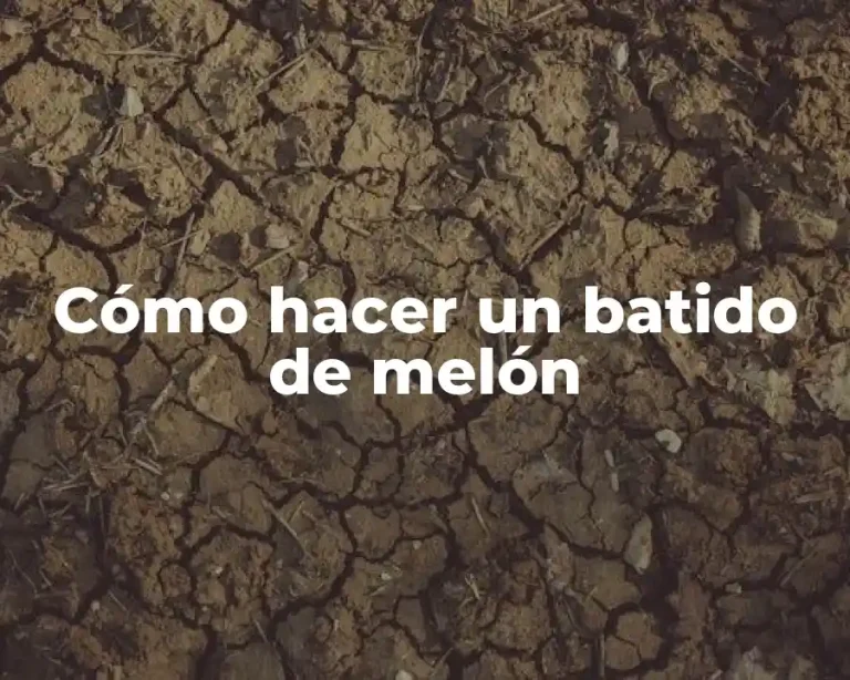 Cómo hacer un batido de melón
