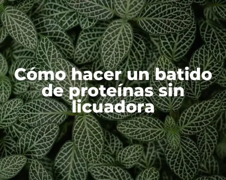 Cómo hacer un batido de proteínas sin licuadora