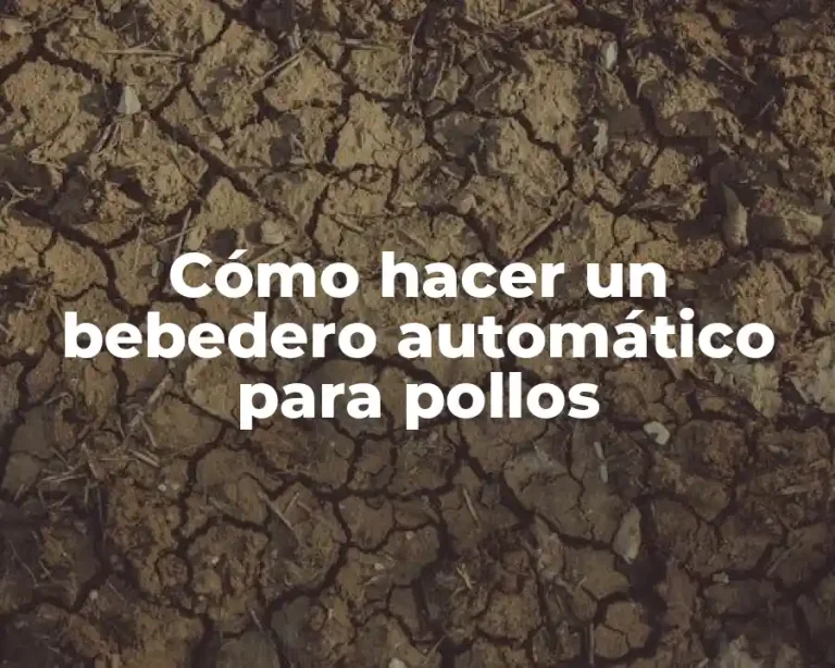 Cómo hacer un bebedero automático para pollos