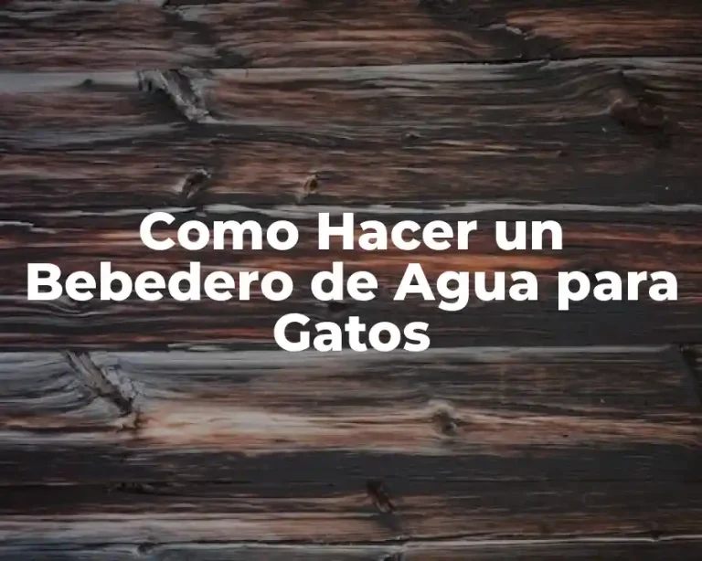 Como Hacer un Bebedero de Agua para Gatos