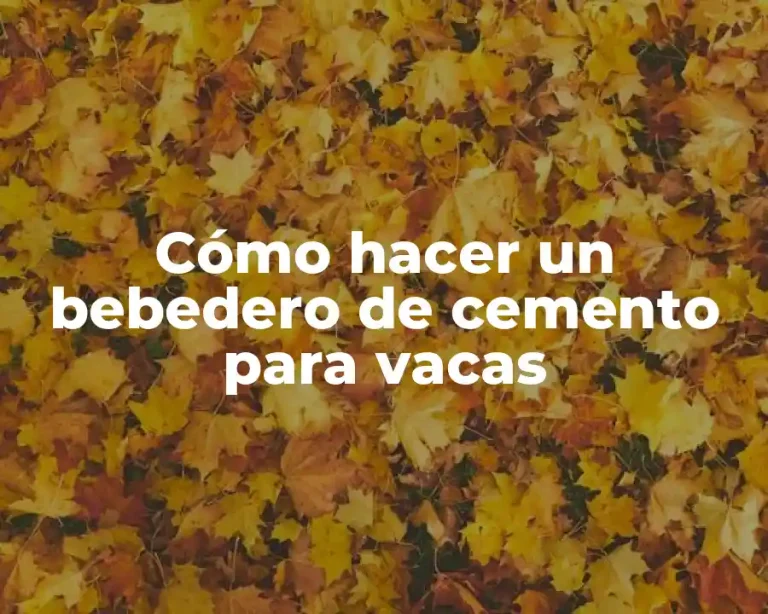 Cómo hacer un bebedero de cemento para vacas