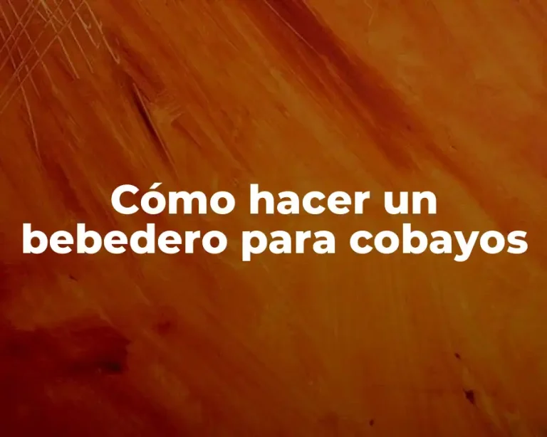 Cómo hacer un bebedero para cobayos