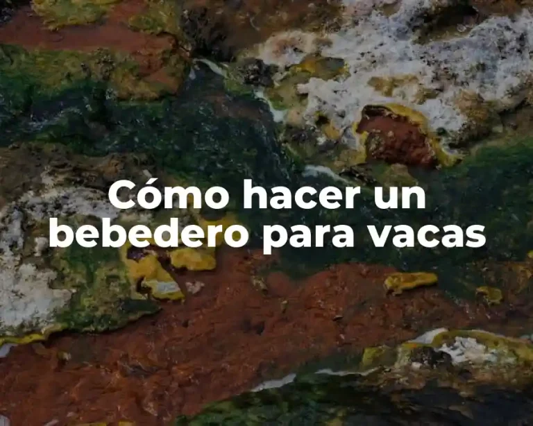Cómo hacer un bebedero para vacas