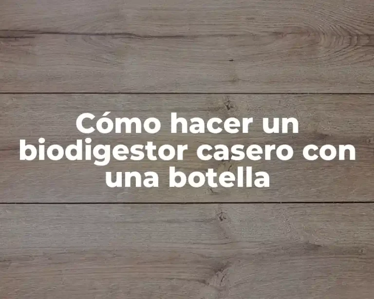 Cómo hacer un biodigestor casero con una botella