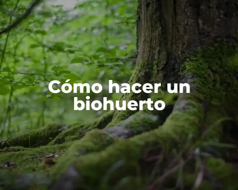 Cómo hacer un biohuerto