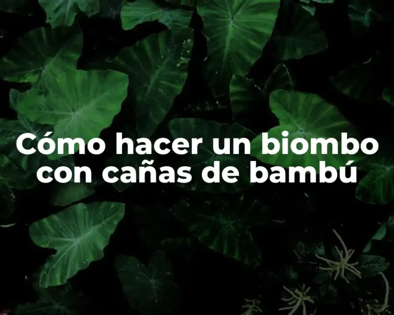 Cómo hacer un biombo con cañas de bambú