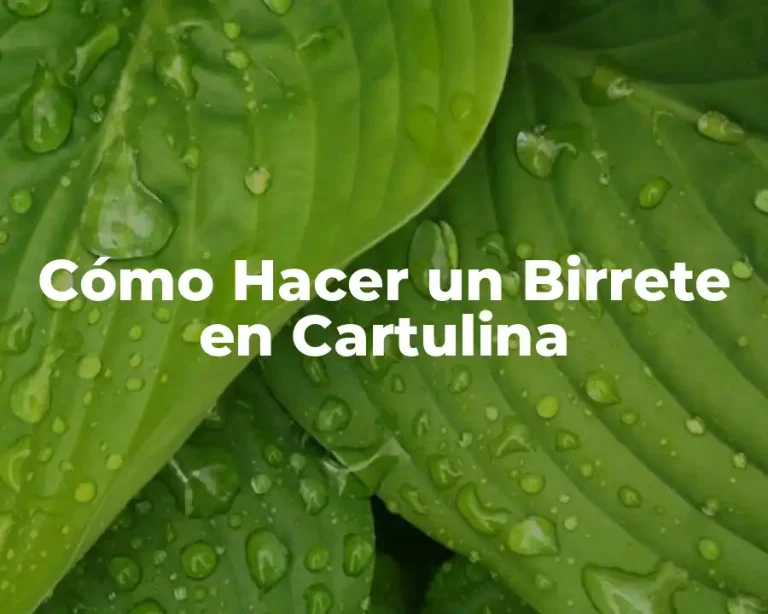 Cómo Hacer un Birrete en Cartulina