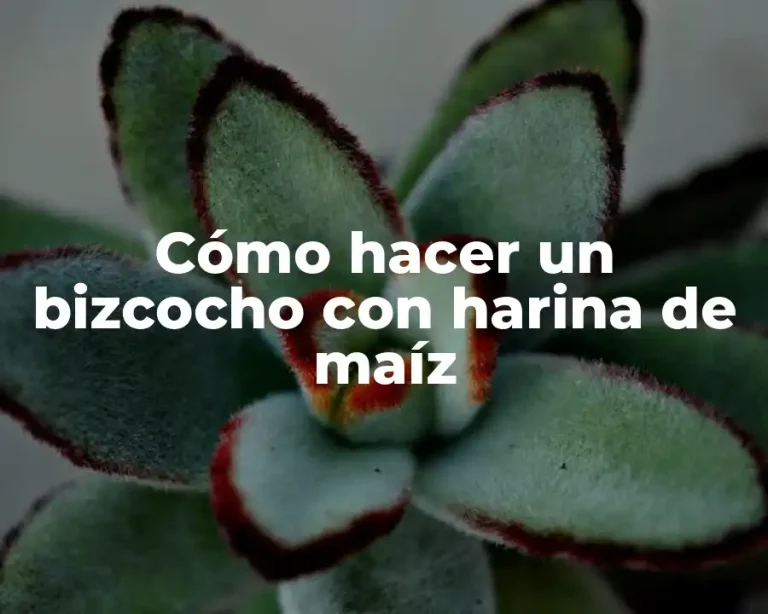 Cómo hacer un bizcocho con harina de maíz