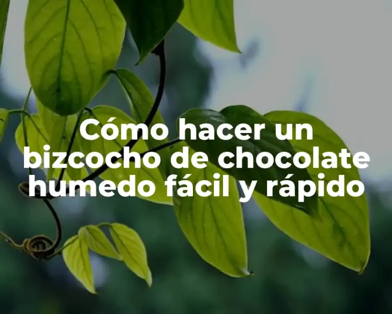 Cómo hacer un bizcocho de chocolate humedo fácil y rápido