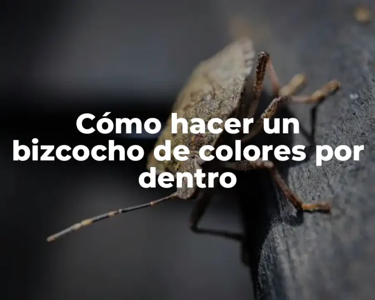 Cómo hacer un bizcocho de colores por dentro
