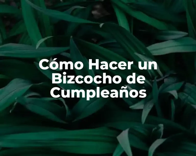 Cómo Hacer un Bizcocho de Cumpleaños