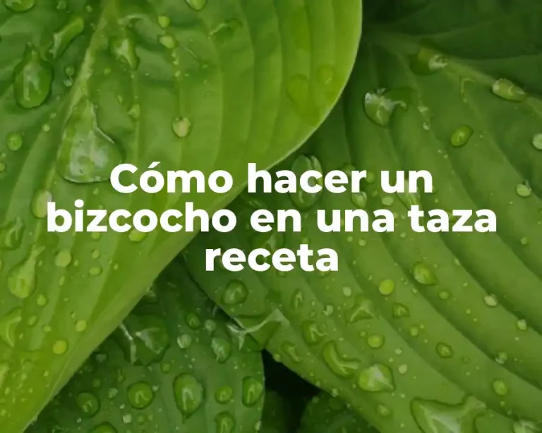 Cómo hacer un bizcocho en una taza receta