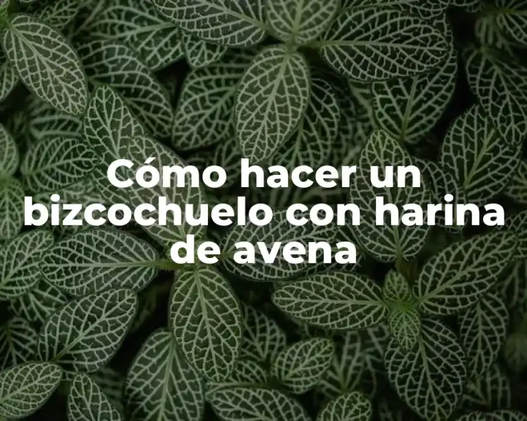 Cómo hacer un bizcochuelo con harina de avena