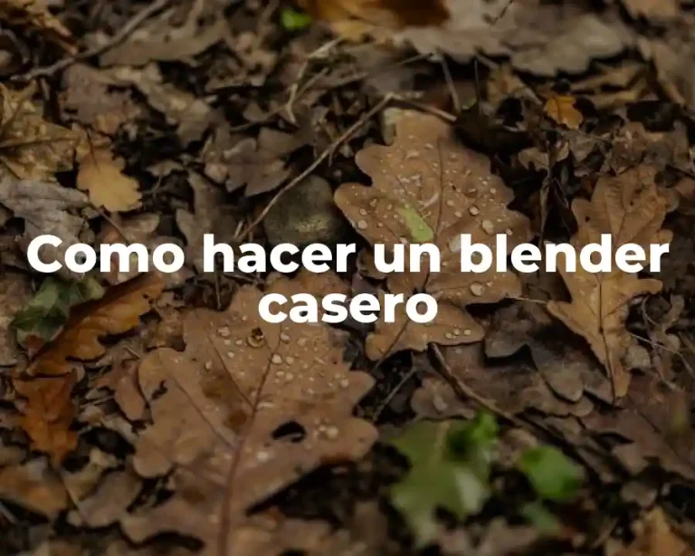 Como hacer un blender casero