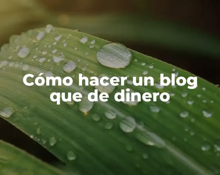Cómo hacer un blog que de dinero