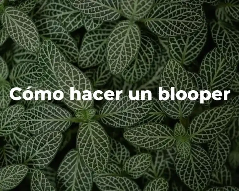 Cómo hacer un blooper