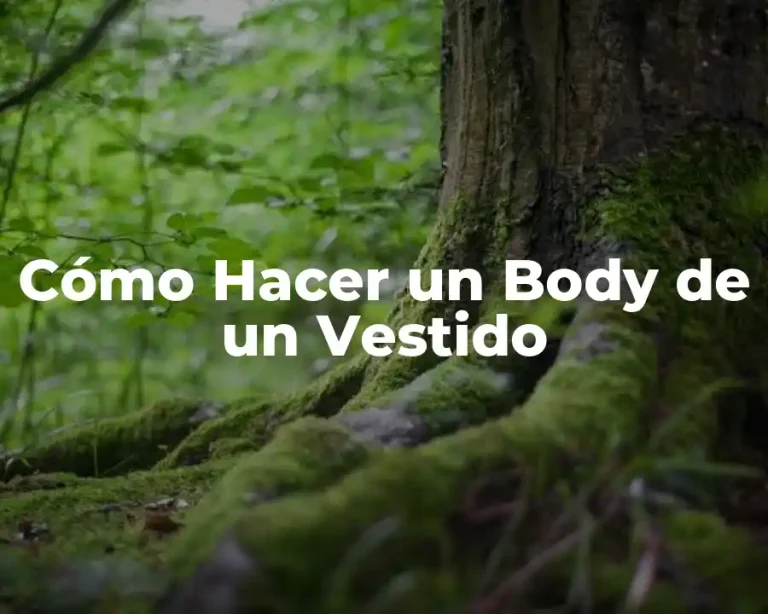Cómo Hacer un Body de un Vestido