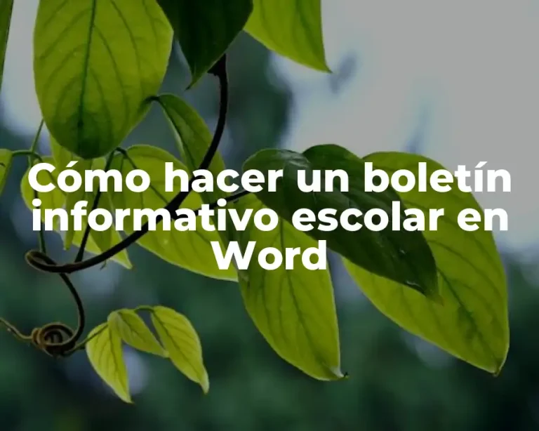 Cómo hacer un boletín informativo escolar en Word