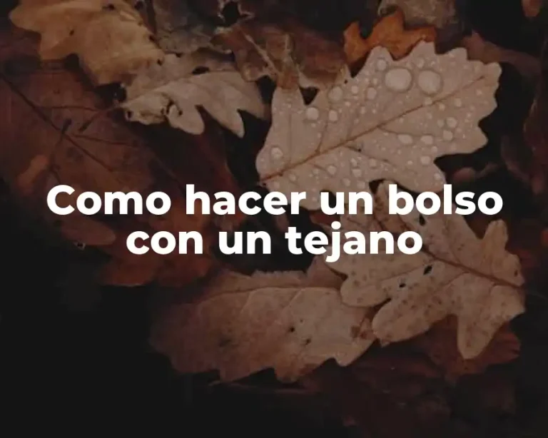 Como hacer un bolso con un tejano