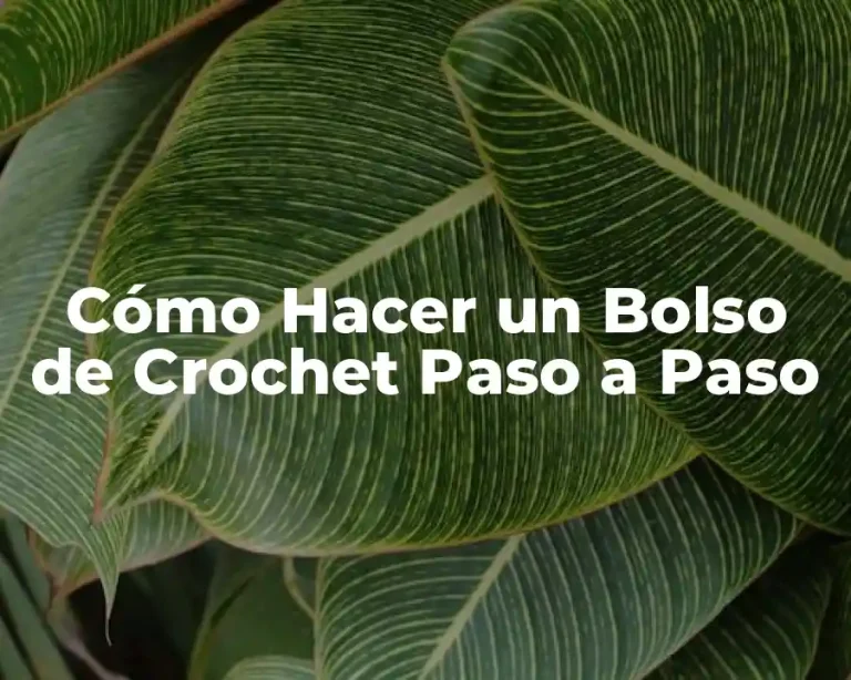 Cómo Hacer un Bolso de Crochet Paso a Paso