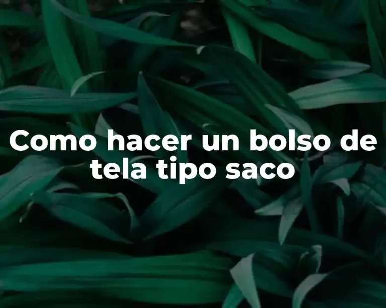 Como hacer un bolso de tela tipo saco