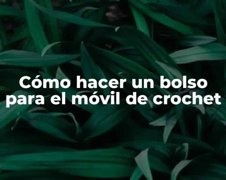 Cómo hacer un bolso para el móvil de crochet