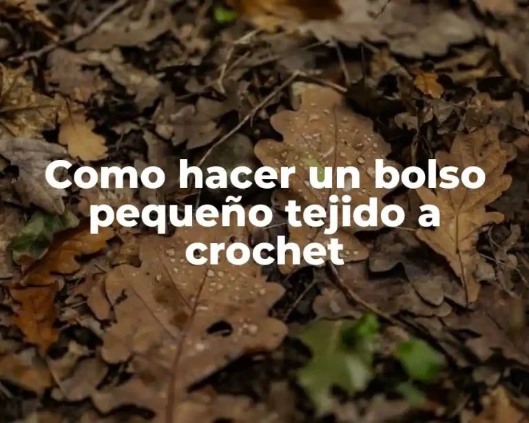 Como hacer un bolso pequeño tejido a crochet