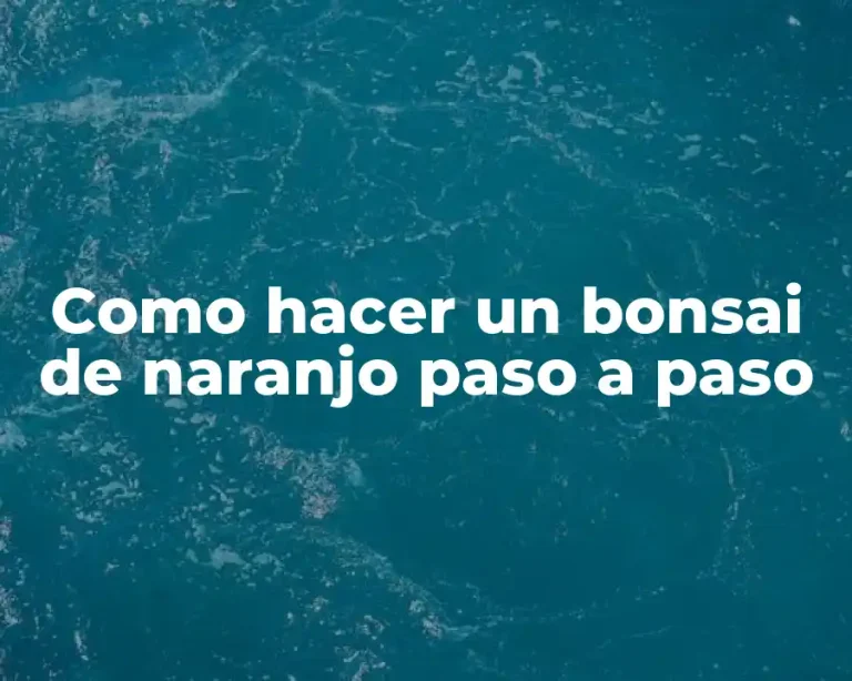 Como hacer un bonsai de naranjo paso a paso