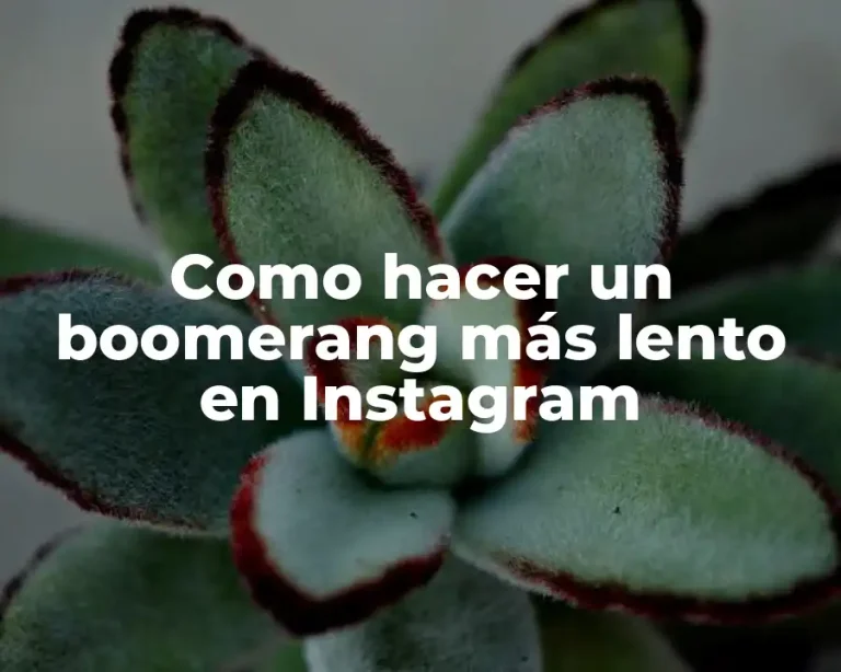 Como hacer un boomerang más lento en Instagram