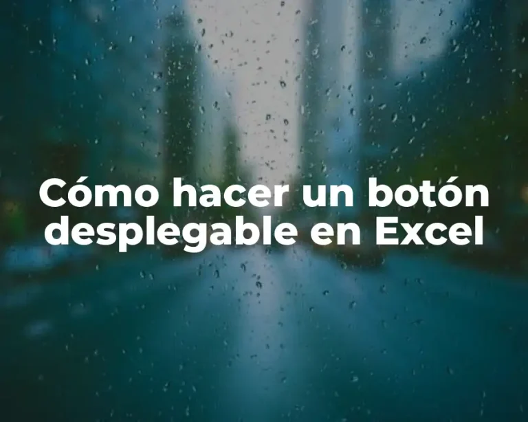 Cómo hacer un botón desplegable en Excel