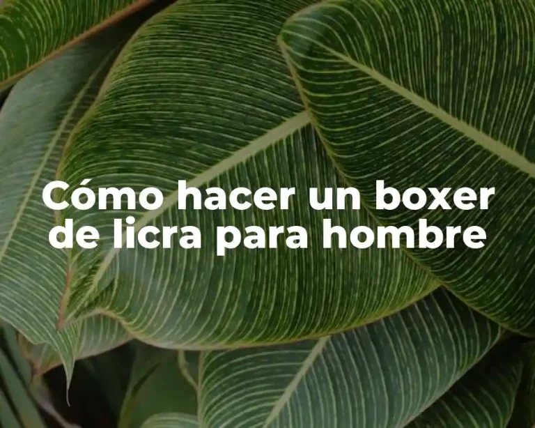 Cómo hacer un boxer de licra para hombre