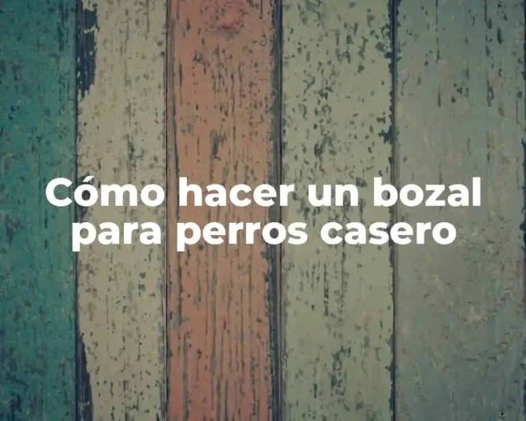 Cómo hacer un bozal para perros casero