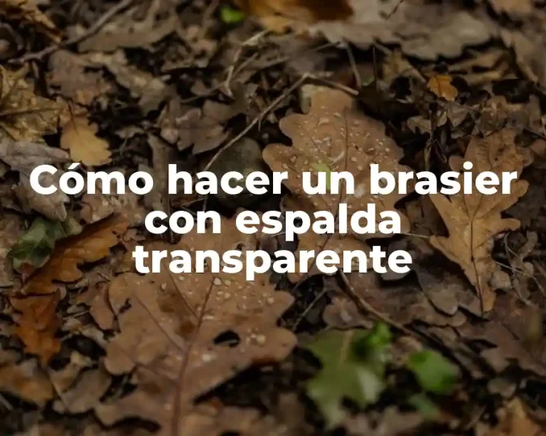 Cómo hacer un brasier con espalda transparente