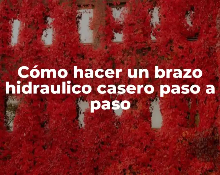 Cómo hacer un brazo hidraulico casero paso a paso