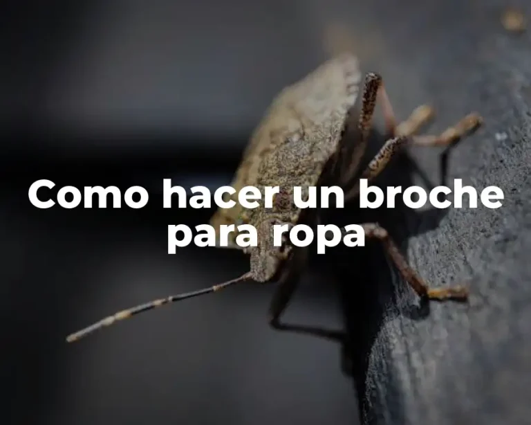 Como hacer un broche para ropa