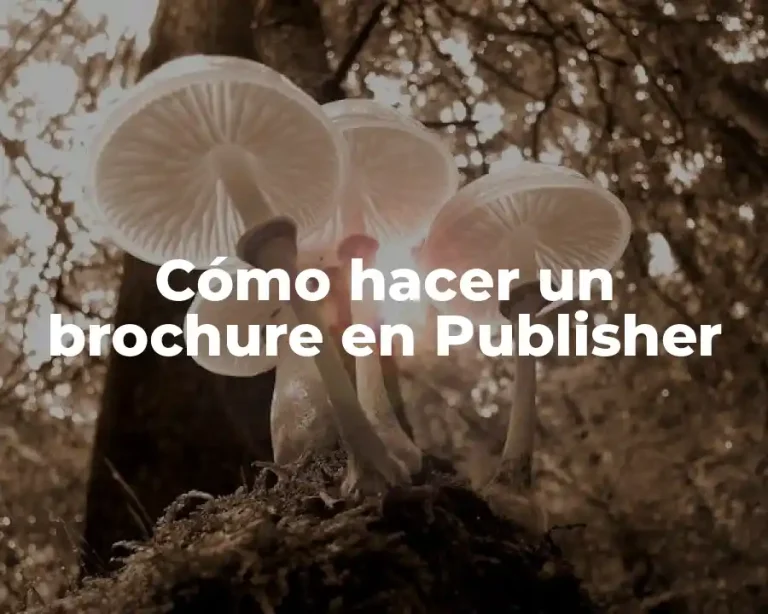 Cómo hacer un brochure en Publisher