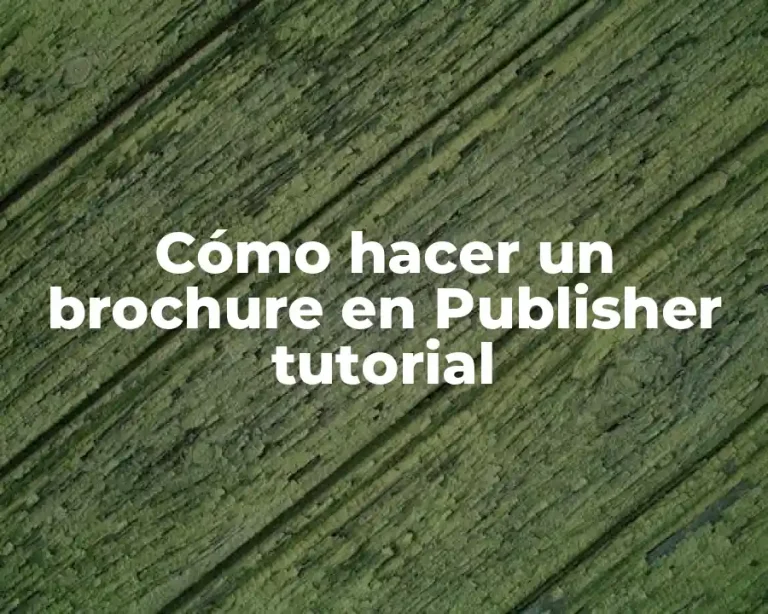 Cómo hacer un brochure en Publisher tutorial