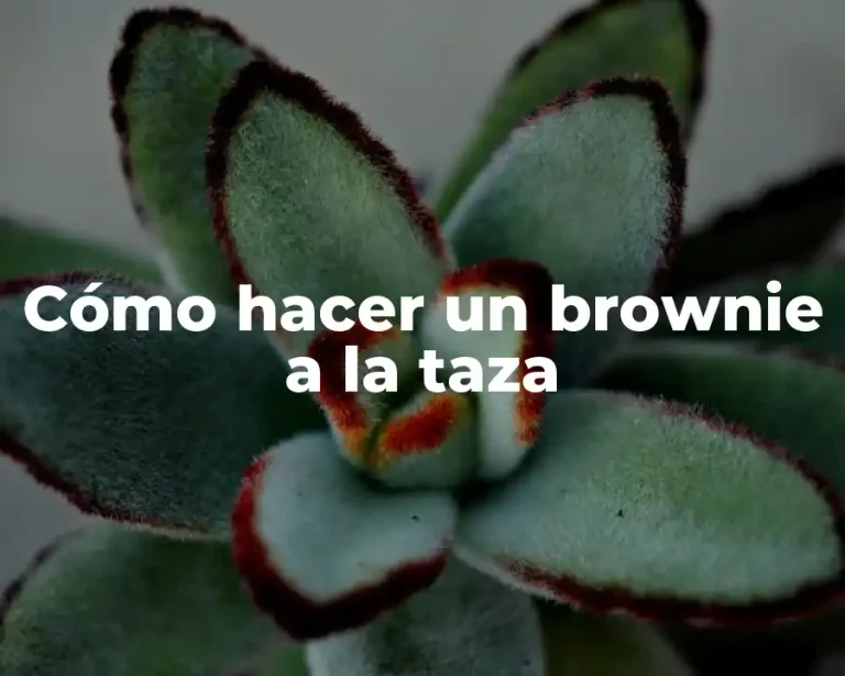 Cómo hacer un brownie a la taza