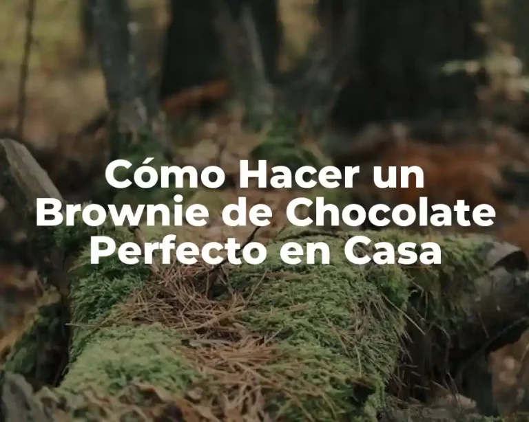 Cómo Hacer un Brownie de Chocolate Perfecto en Casa