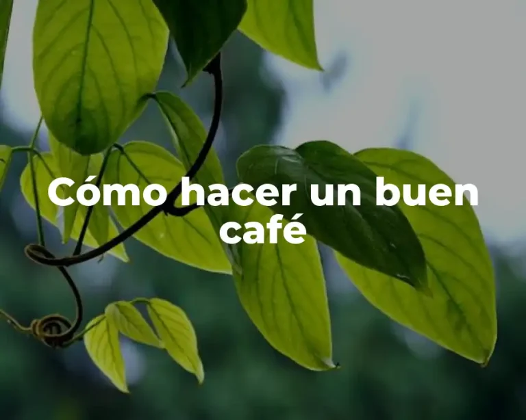 Cómo hacer un buen café