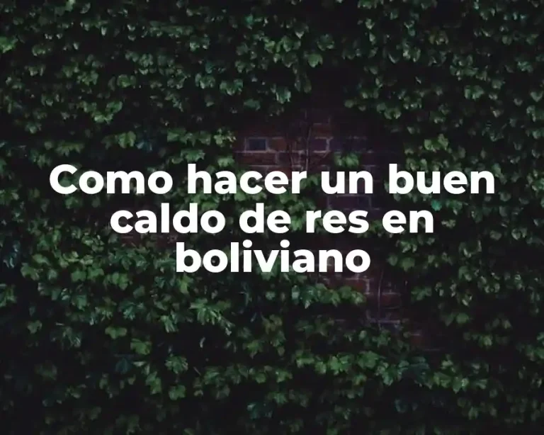 Como hacer un buen caldo de res en boliviano