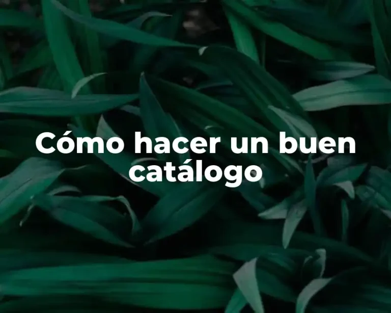 Cómo hacer un buen catálogo