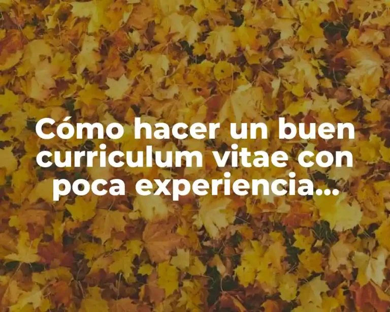 Cómo hacer un buen curriculum vitae con poca experiencia laboral