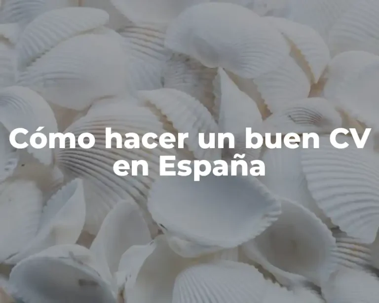 Cómo hacer un buen CV en España