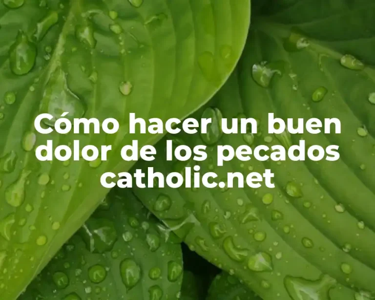 Cómo hacer un buen dolor de los pecados catholic.net