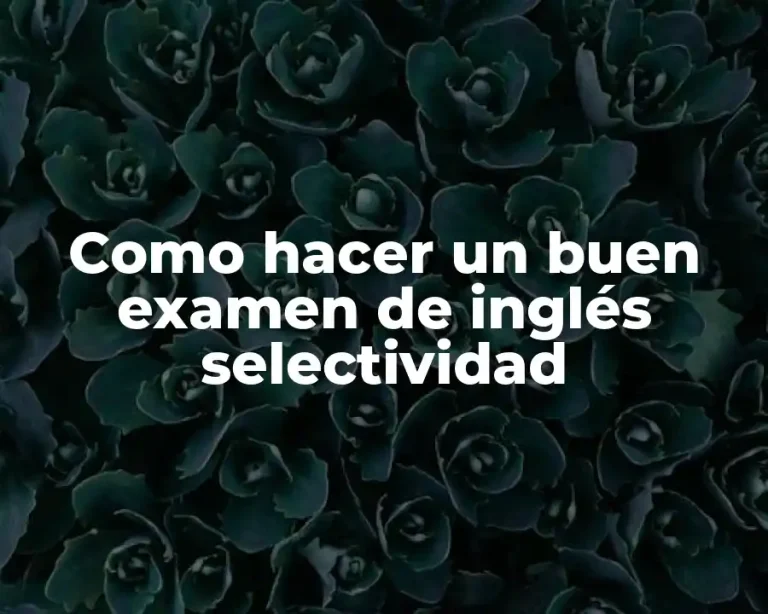 Como hacer un buen examen de inglés selectividad