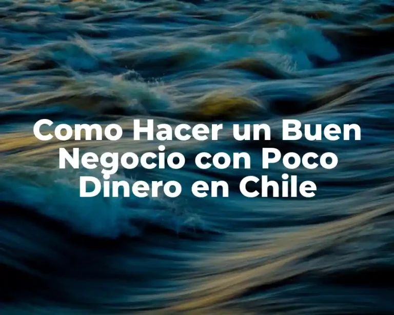 Como Hacer un Buen Negocio con Poco Dinero en Chile