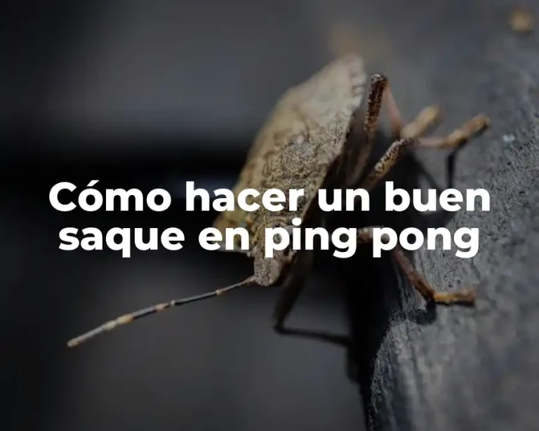 Cómo hacer un buen saque en ping pong