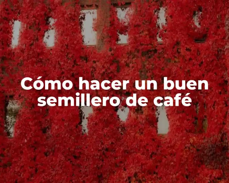 Cómo hacer un buen semillero de café