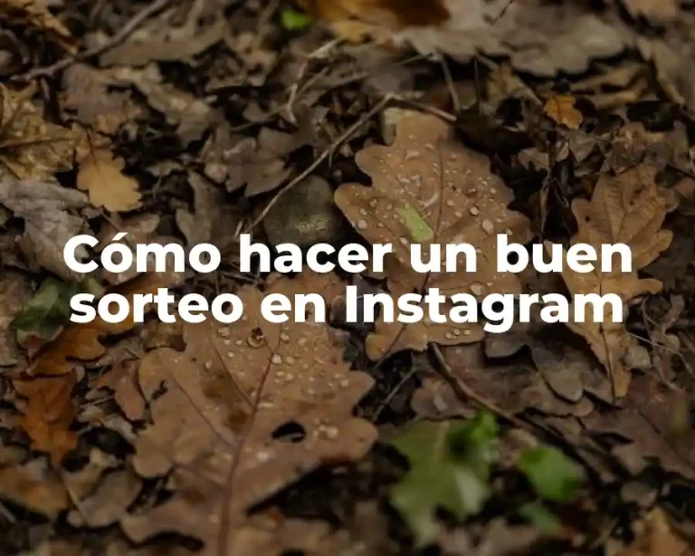 Cómo hacer un buen sorteo en Instagram